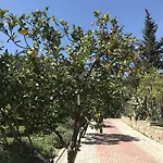 Pitahaya 2*
