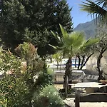Pitahaya Bed and Breakfast 2*