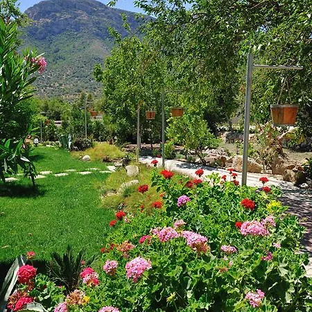 Oda ve Kahvaltı Pitahaya