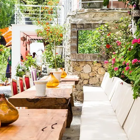 Oda ve Kahvaltı Pitahaya Göltürkbükü