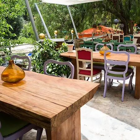 Pitahaya Bed and breakfast Golturkbuku