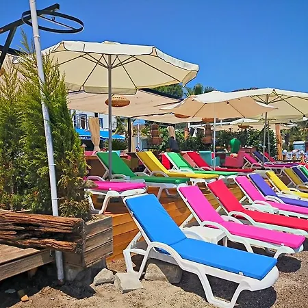 Pitahaya Bed & Breakfast 2*