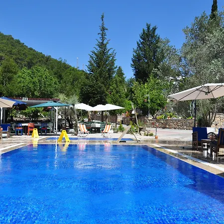 Pitahaya 2* Göltürkbükü