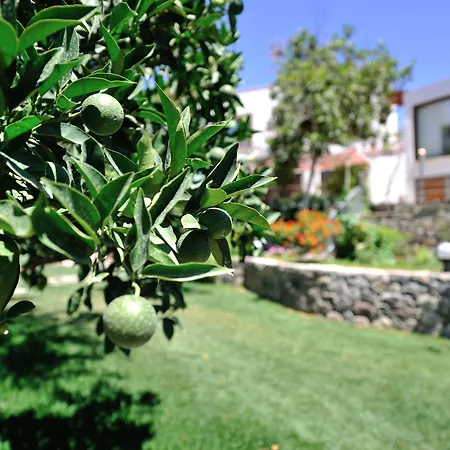 Bed & Breakfast Pitahaya 2*