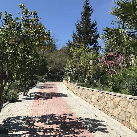 Bed & Breakfast Pitahaya Göltürkbükü