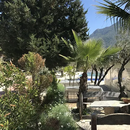 Pitahaya Bed & Breakfast 2*