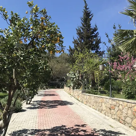 Pitahaya Bed & Breakfast Göltürkbükü