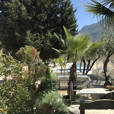 Oda ve Kahvaltı Pitahaya