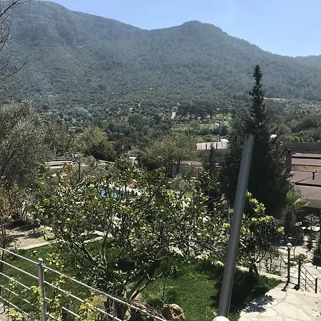 Pitahaya Oda ve Kahvaltı 2*