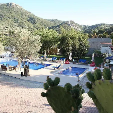 Pitahaya 2* Göltürkbükü