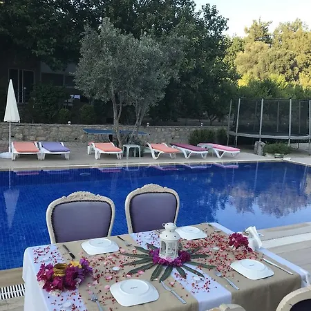 Pitahaya 2* Göltürkbükü