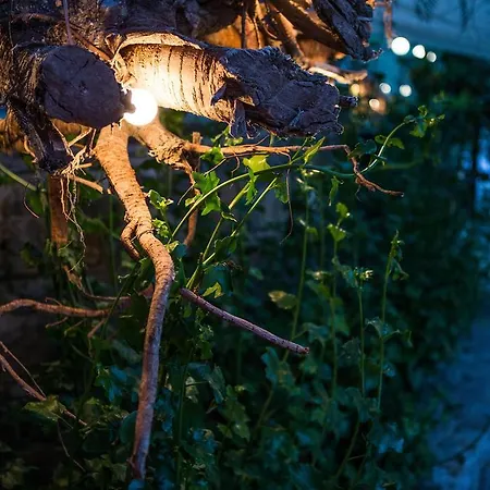 Pitahaya Bed and breakfast 2*