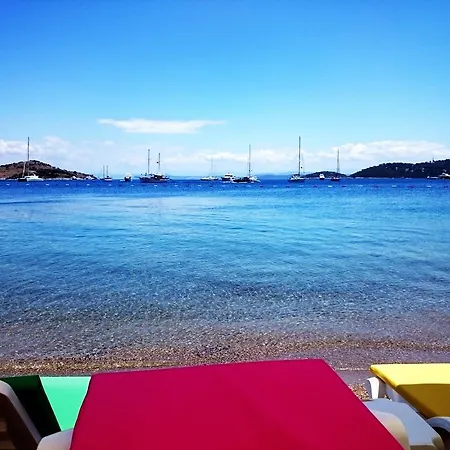 Pitahaya Bed and breakfast