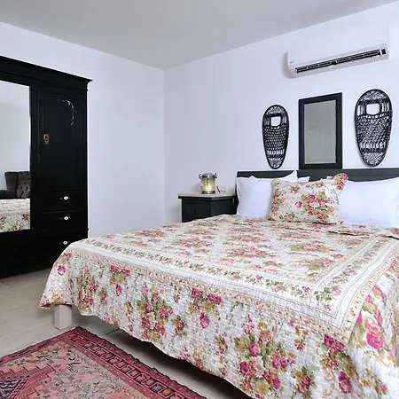 Pitahaya B&B