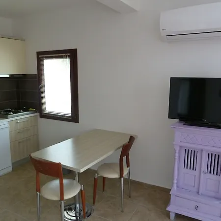 Bed and breakfast Pitahaya