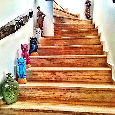 Bed and breakfast Pitahaya Golturkbuku