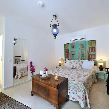 Bed and breakfast Pitahaya Golturkbuku