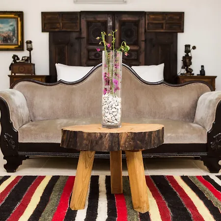 Bed and breakfast Pitahaya 2*