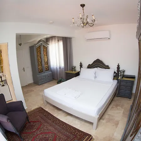 Bed and breakfast Pitahaya