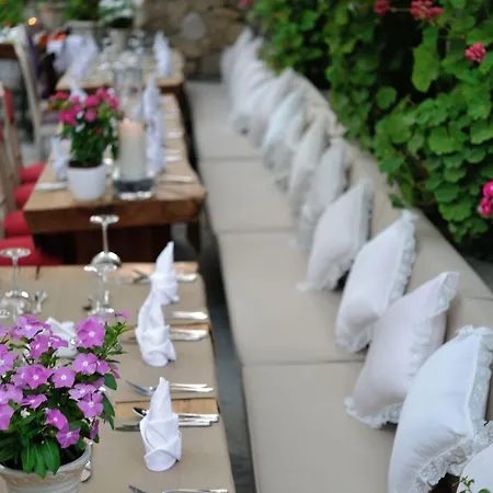 Pitahaya Golturkbuku