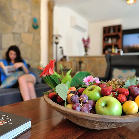 Bed and breakfast Pitahaya