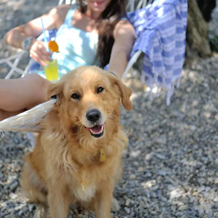 Pitahaya Nocleg ze śniadaniem 2*