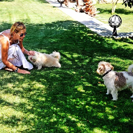 Bed and breakfast Pitahaya Golturkbuku