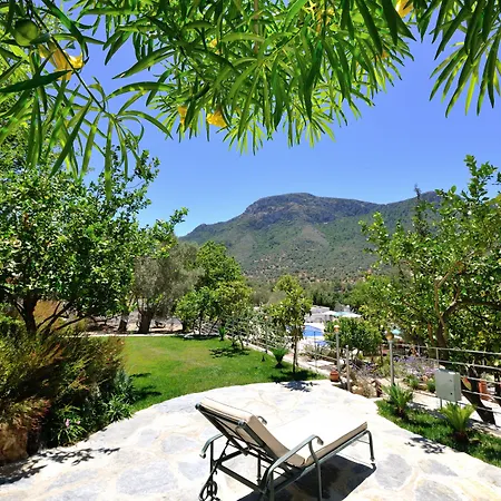 Bed and breakfast Pitahaya Golturkbuku