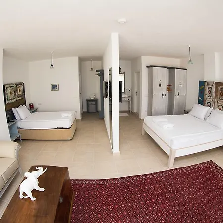 Bed and breakfast Pitahaya