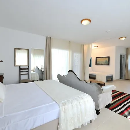 Bed and breakfast Pitahaya 2*