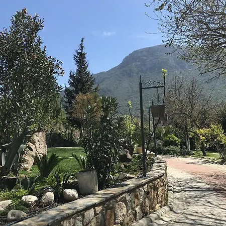 Bed & Breakfast Pitahaya Golturkbuku