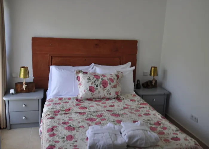 فندق مبيت وإفطار Pitahaya