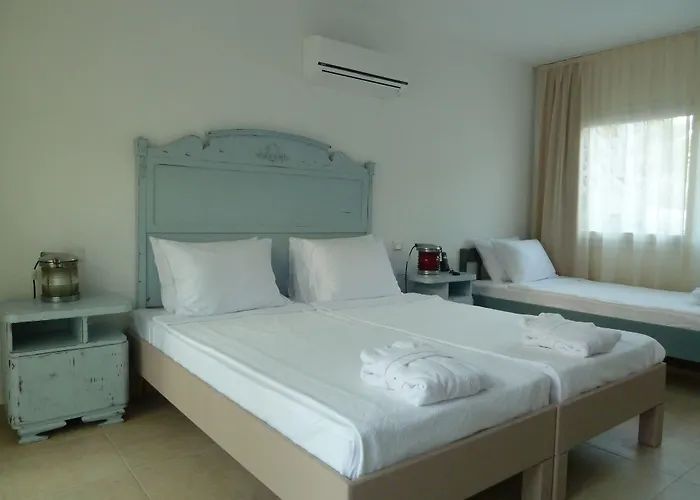 فندق مبيت وإفطار Pitahaya