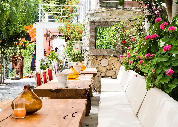 فندق مبيت وإفطار Pitahaya