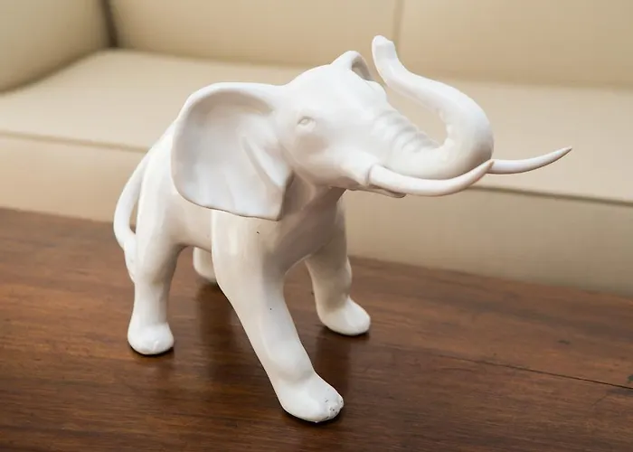 فندق مبيت وإفطار Pitahaya 2*